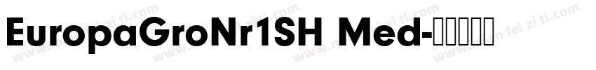 EuropaGroNr1SH Med字体转换